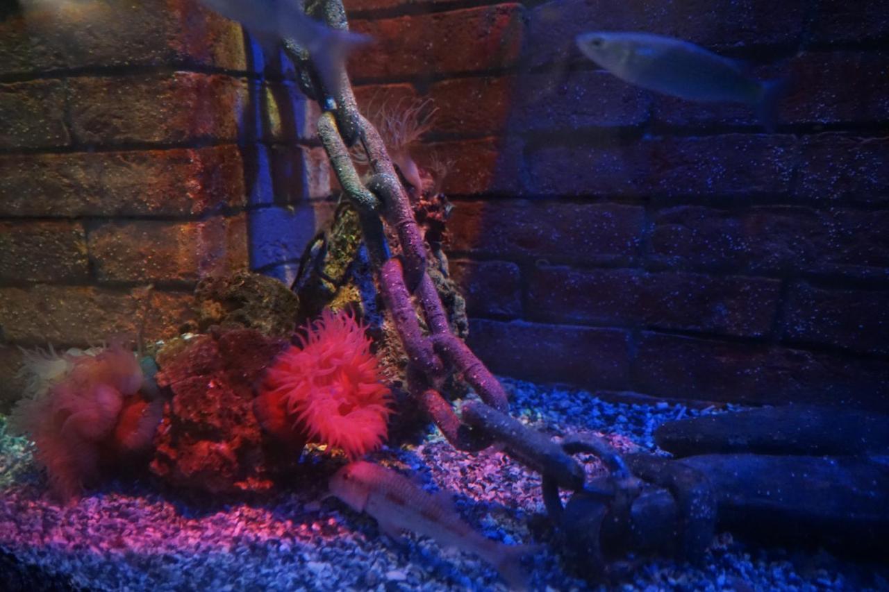 ホテル チッタ リヴォルノ エクステリア 写真